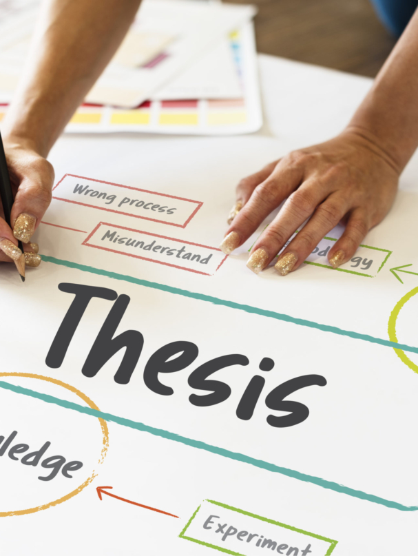 School education study process diagram